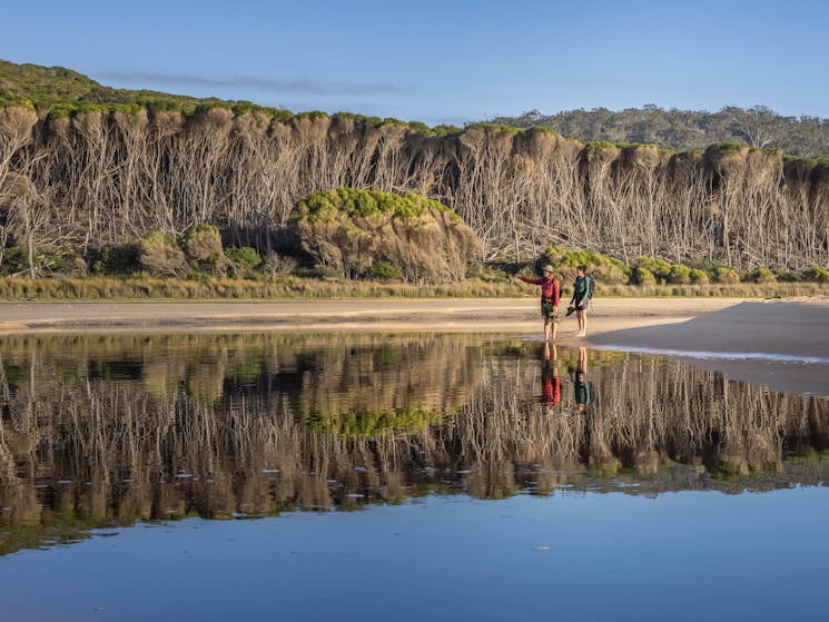 Wharf to Wharf Walk, Sapphire Coast, NSW, south coast