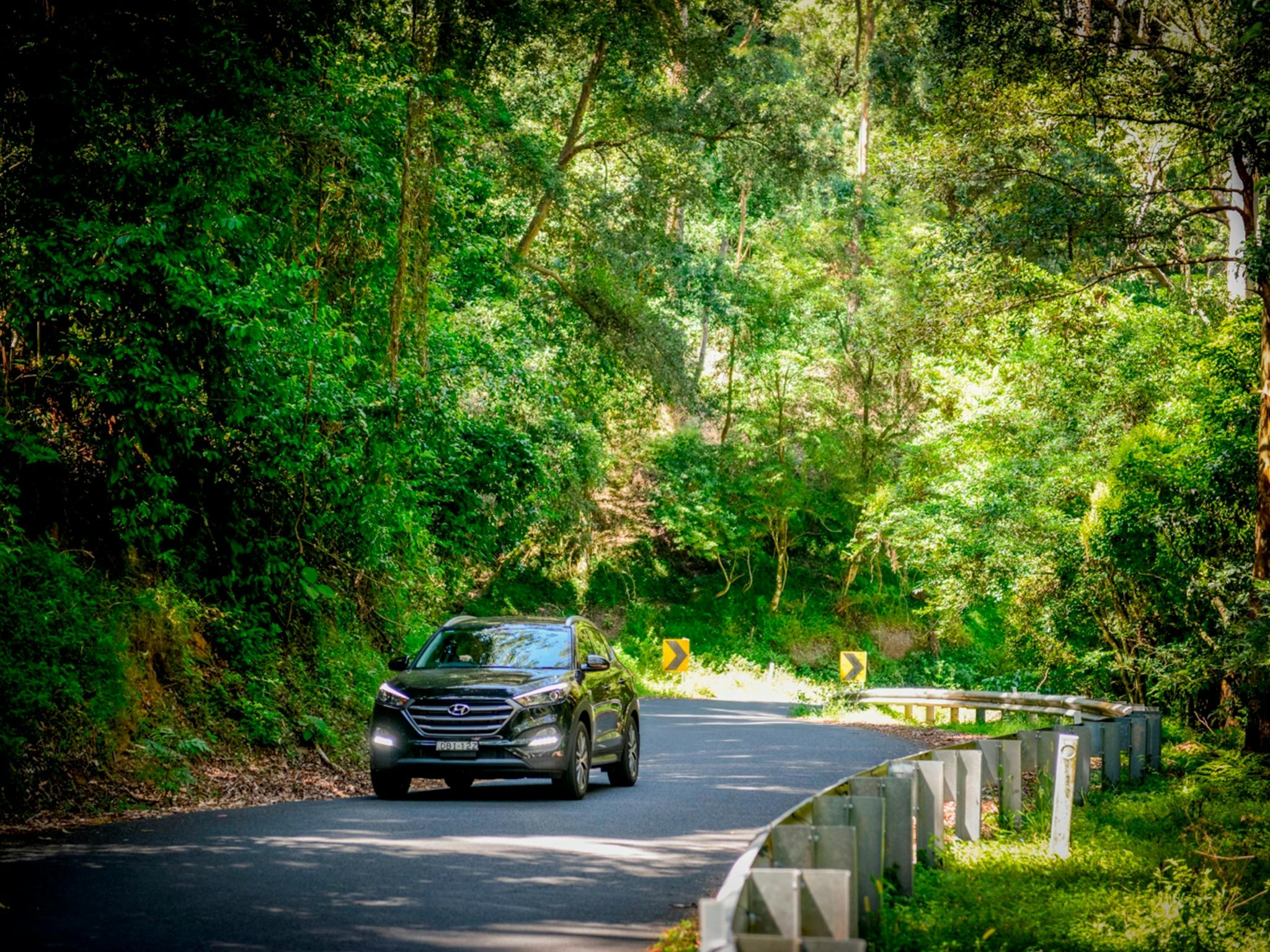 Kangaroo Valley