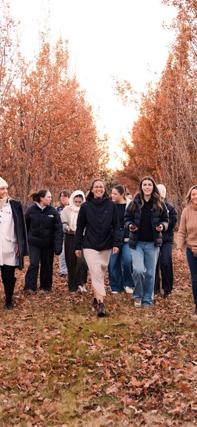 Truffle BBQ Hunt
