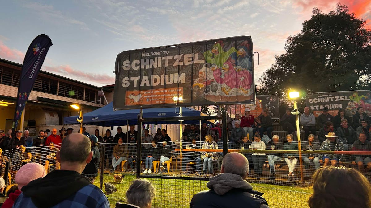 A photo of a large crowd at Ben's Chicken Racing, Tambo Western Queensland Attraction