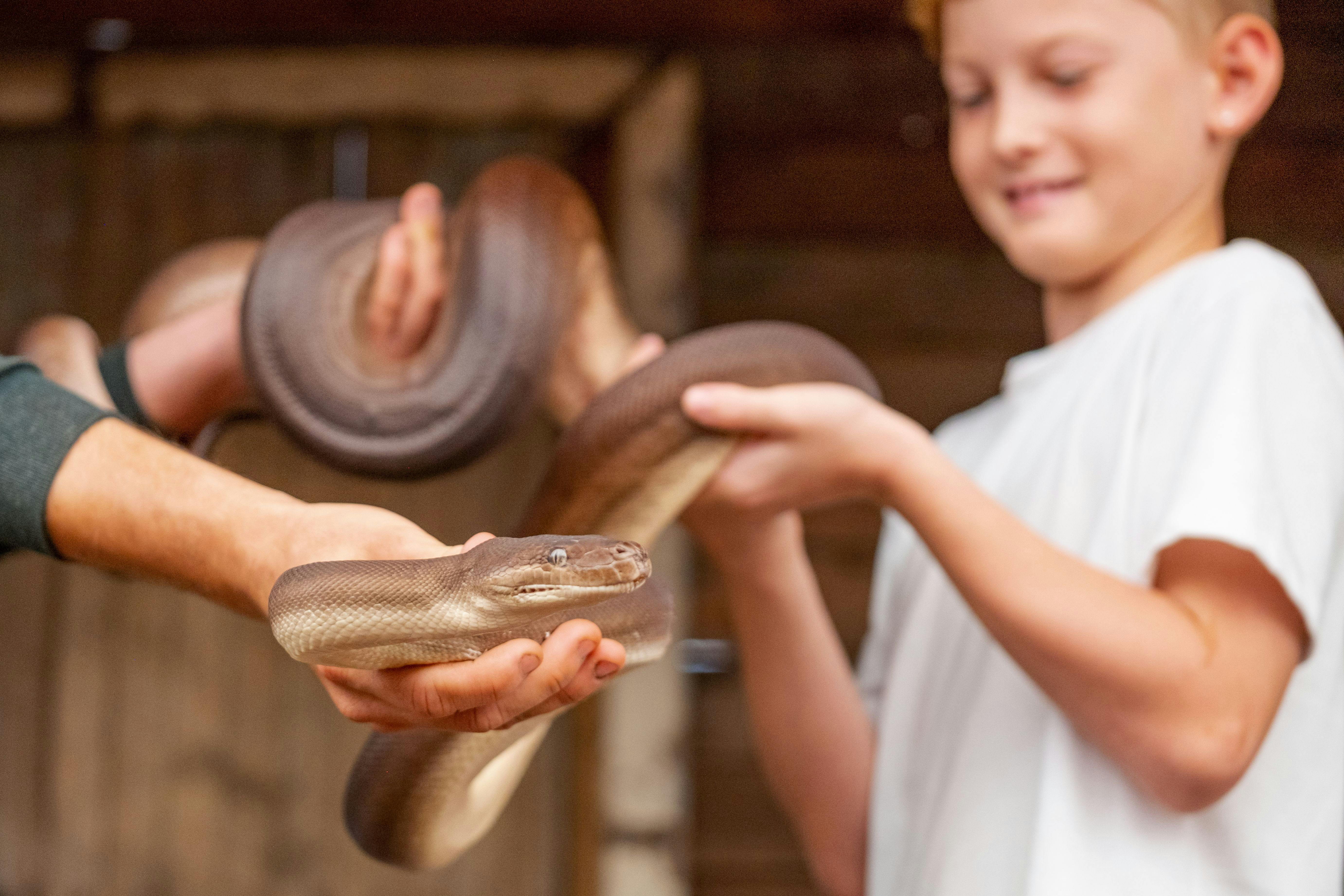 Animal Presentations
