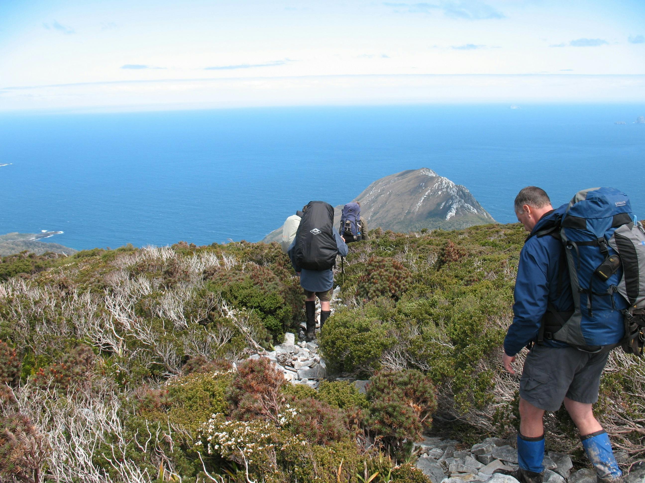 South Coast Track - Ironbound Range