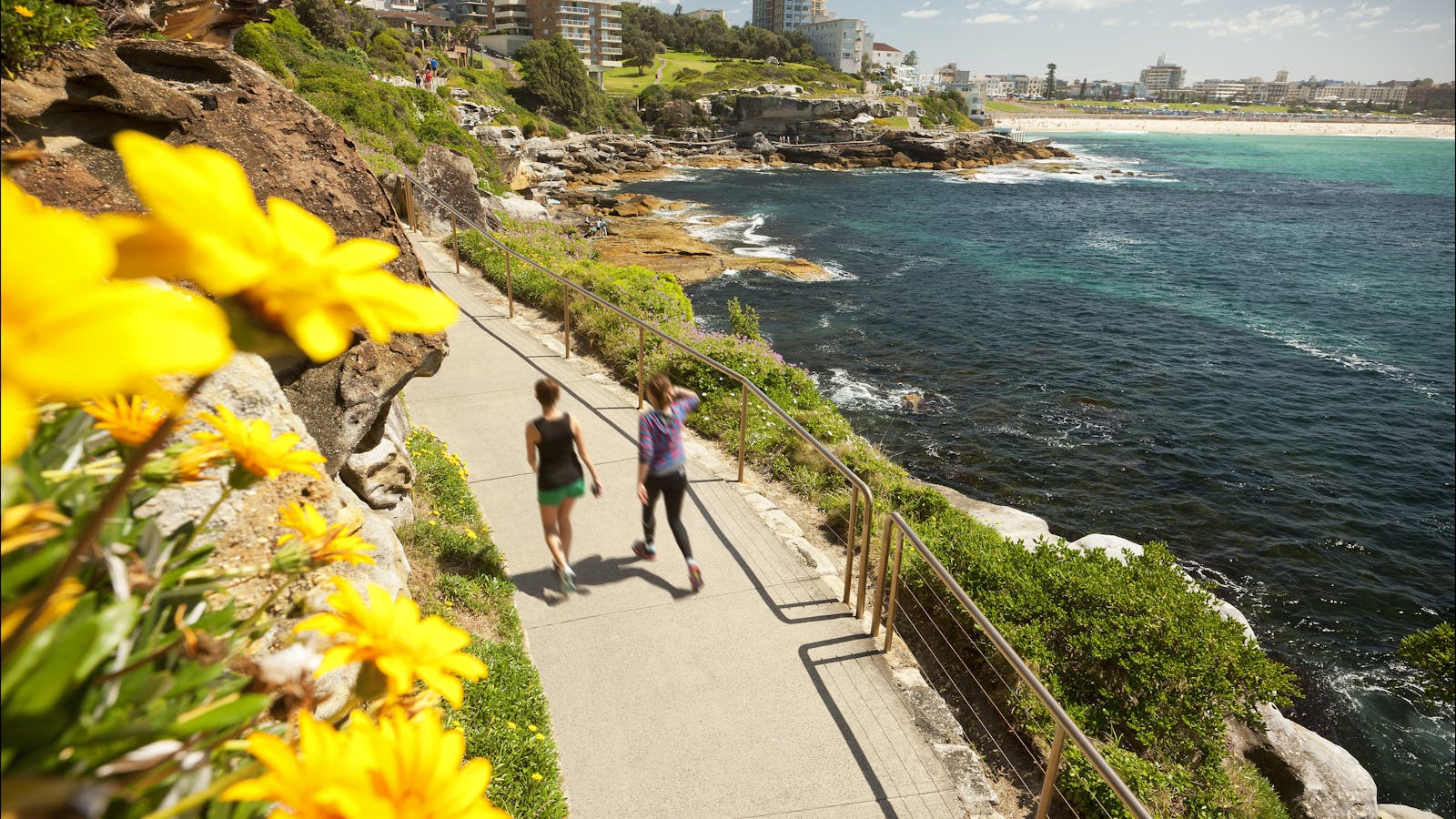 Bondi to Coogee Coastal Walk