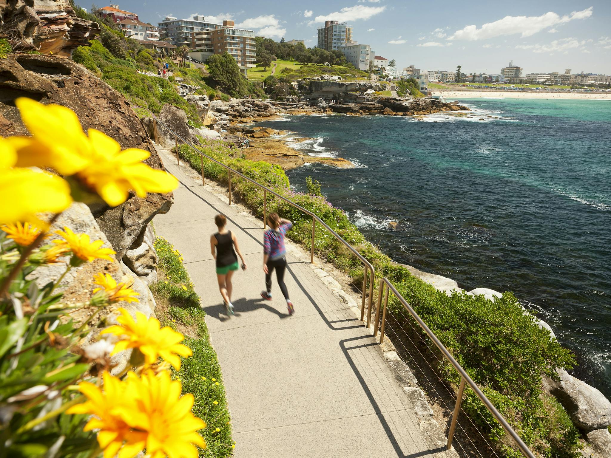 Bondi To Coogee Coastal Walk Nrma Sydney Lakeside Holiday Park 