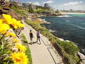 Bondi to Coogee Coastal Walk