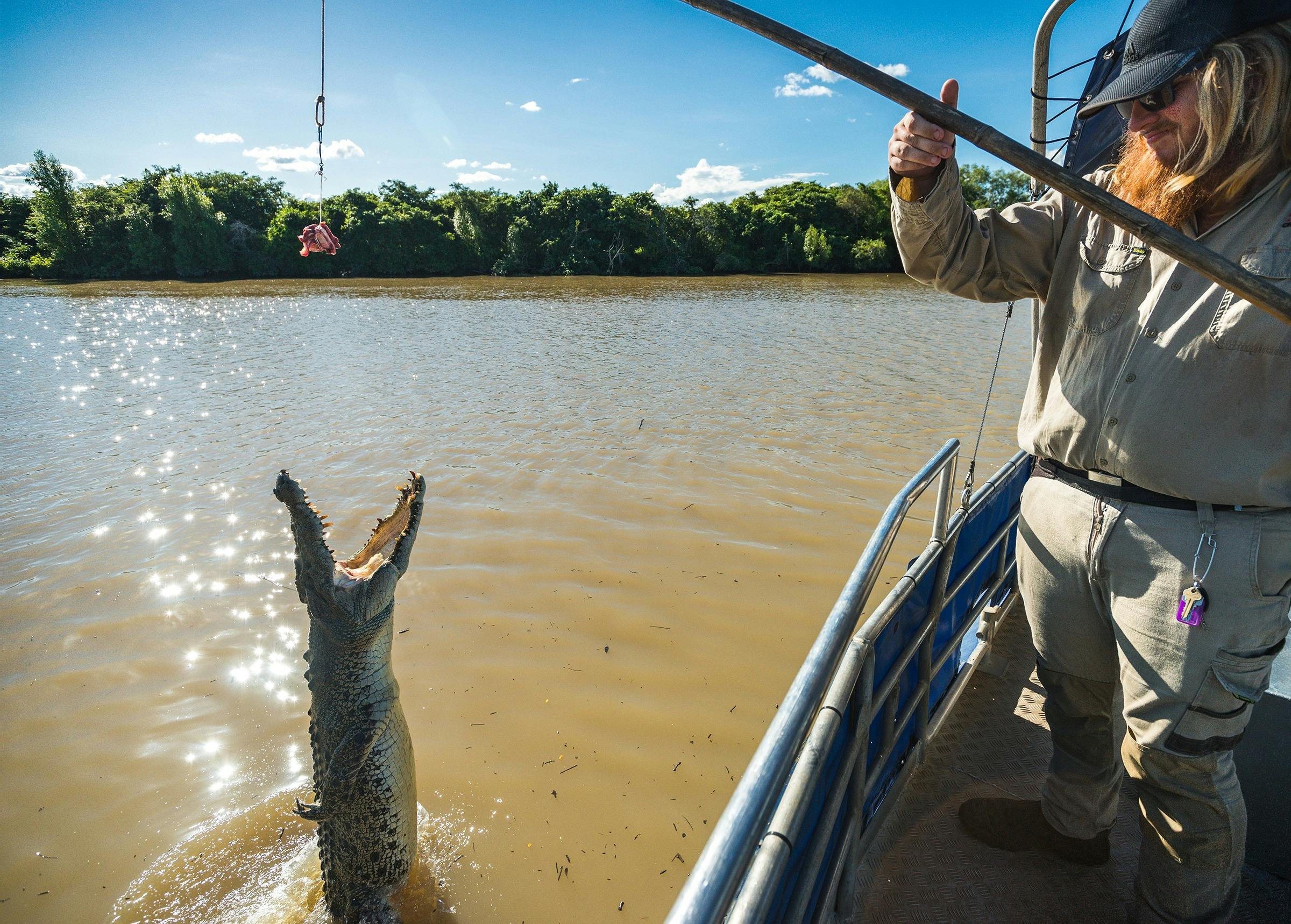 Spectacular Jumping Crocodile Cruise