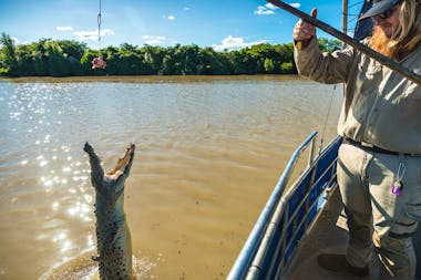 Spectacular Jumping Crocodile Cruise