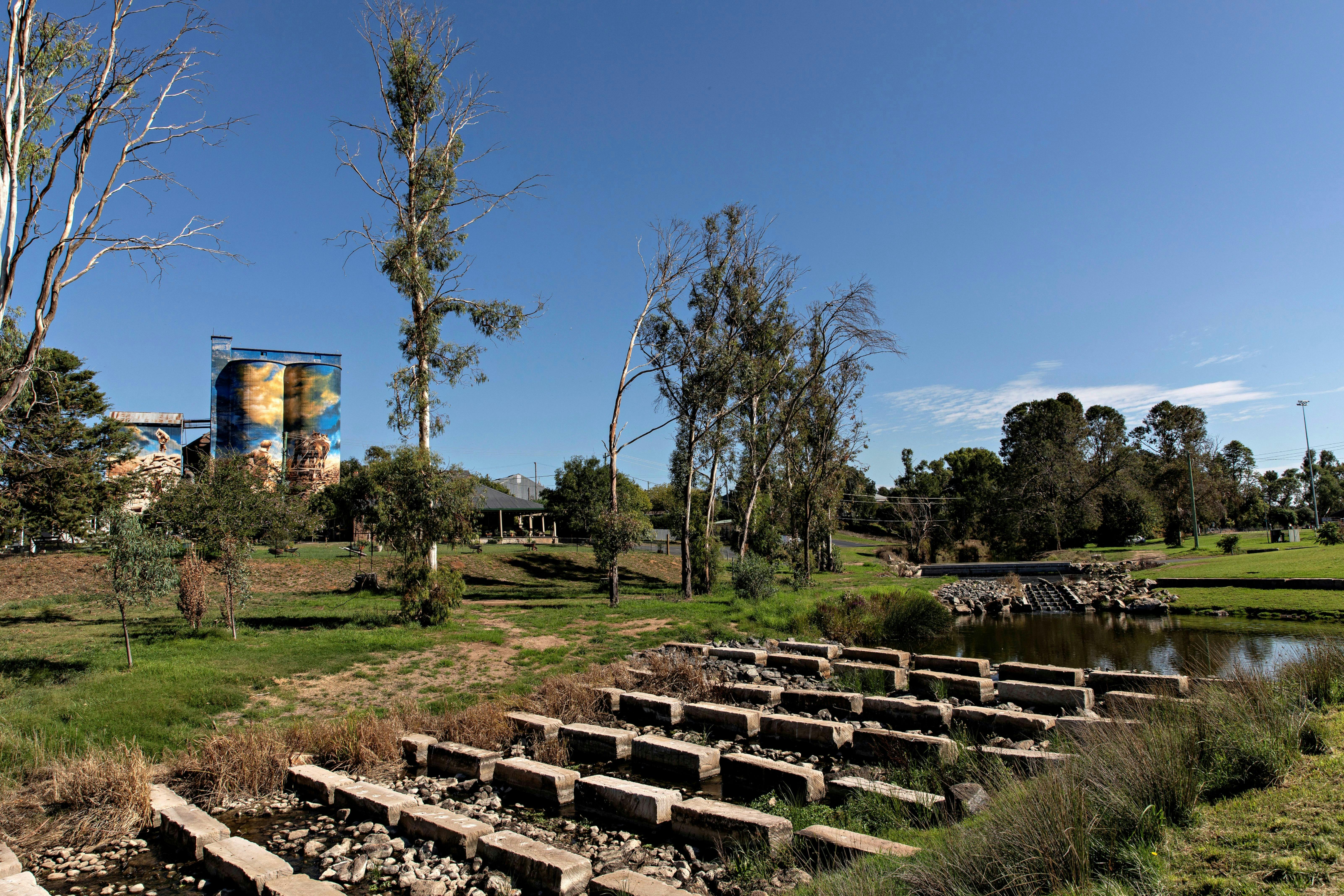 Fischtreppe im Roberts Park
