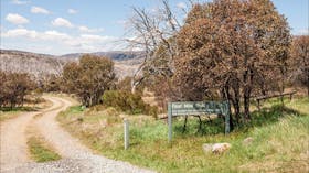 Four Mile Hut Walk