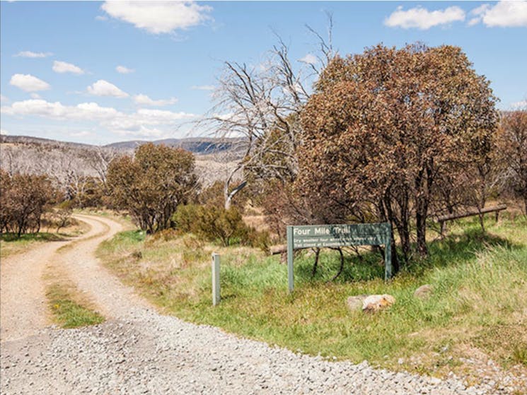 Four Mile Hut trail, Kosciuszko National Park. Photo: Murray Vanderveer