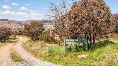 Four Mile Hut trail, Kosciuszko National Park. Photo: Murray Vanderveer