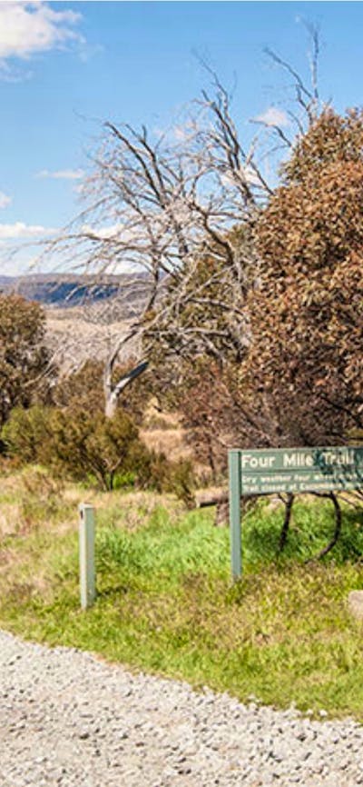 Four Mile Hut trail, Kosciuszko National Park. Photo: Murray Vanderveer