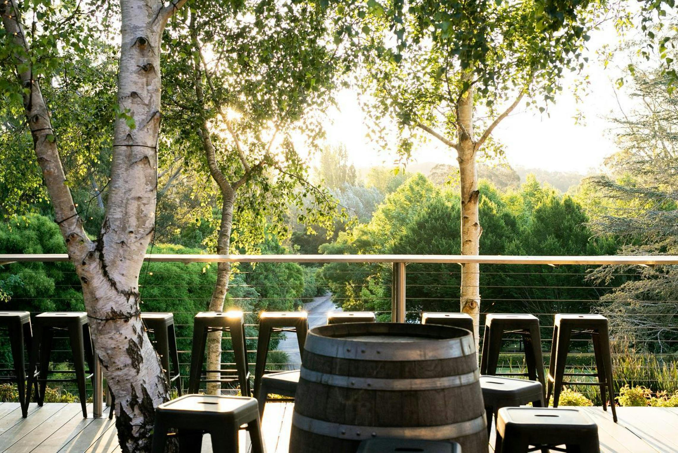 センテニアル・ヴィンヤードのデッキ