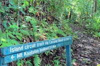 Dunk Island Nature Hikes