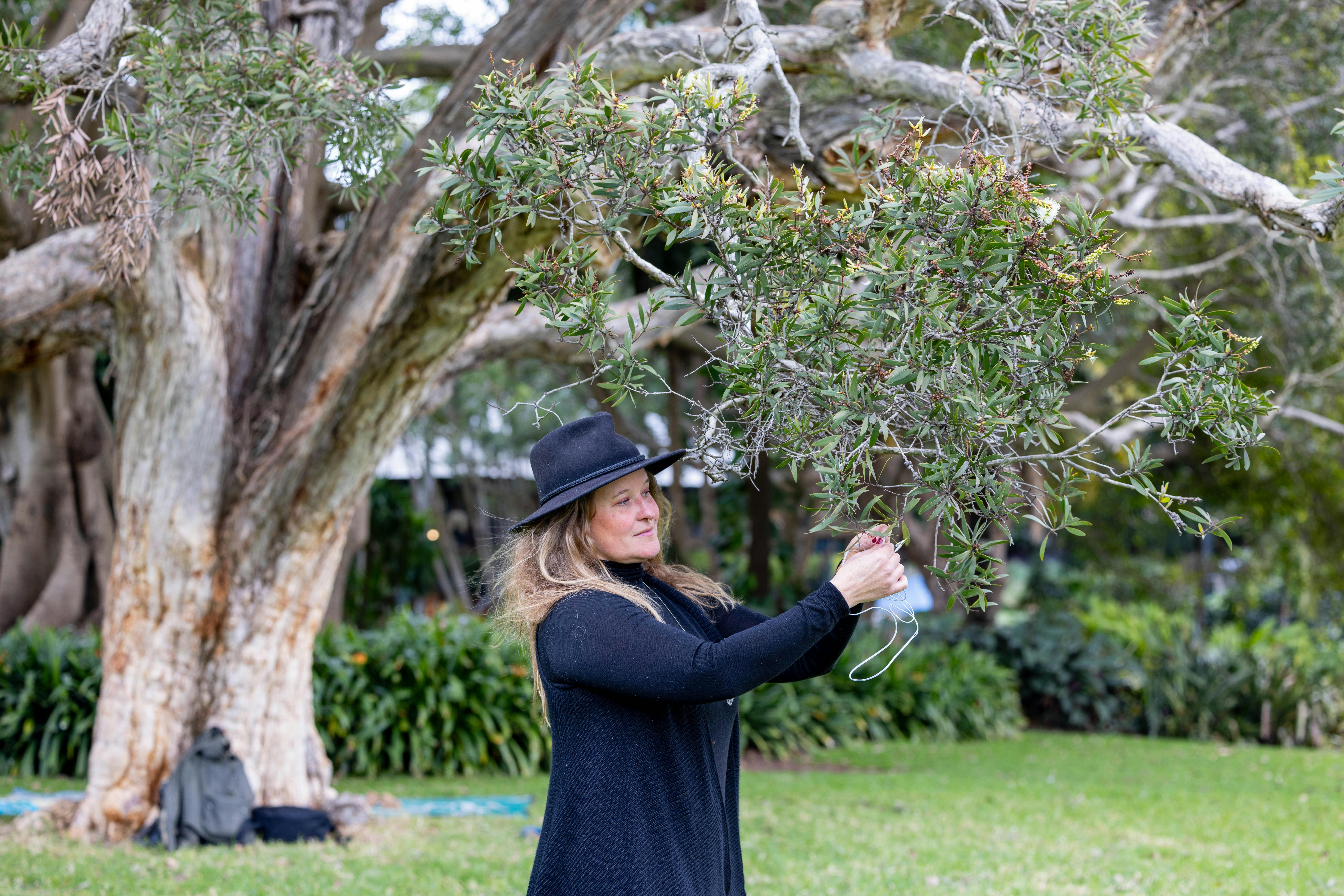 Mindfulness in the Garden