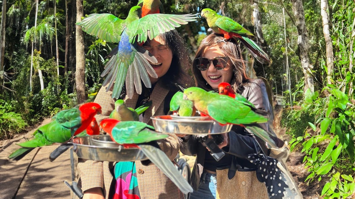 Birds being fed by two women