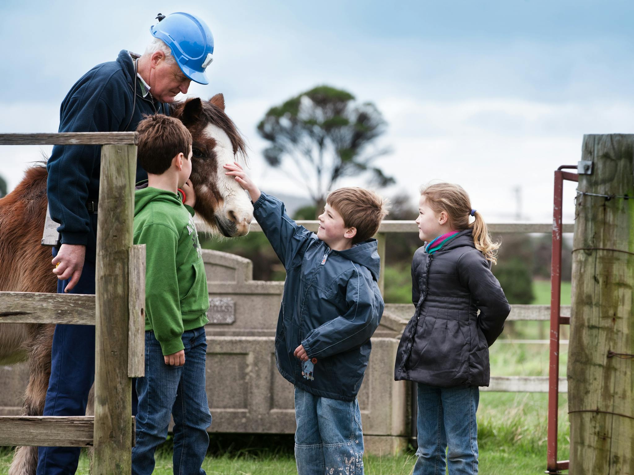 Children with a guide and working horse