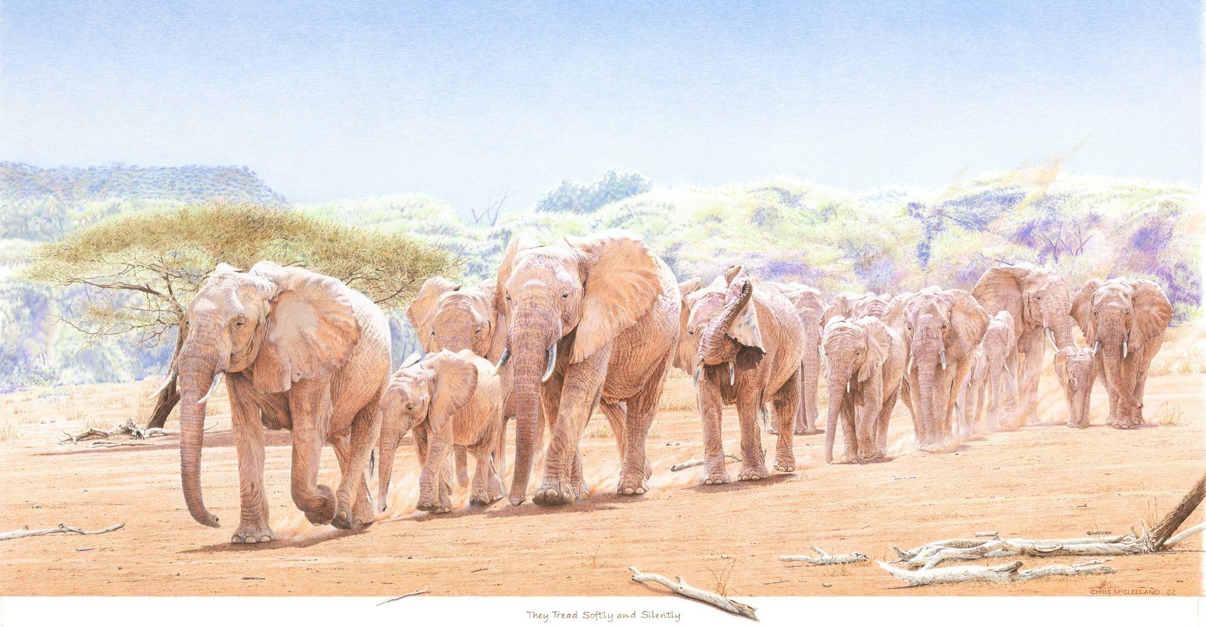 The drawing shows an Elephant herd silently crossing an African plain
