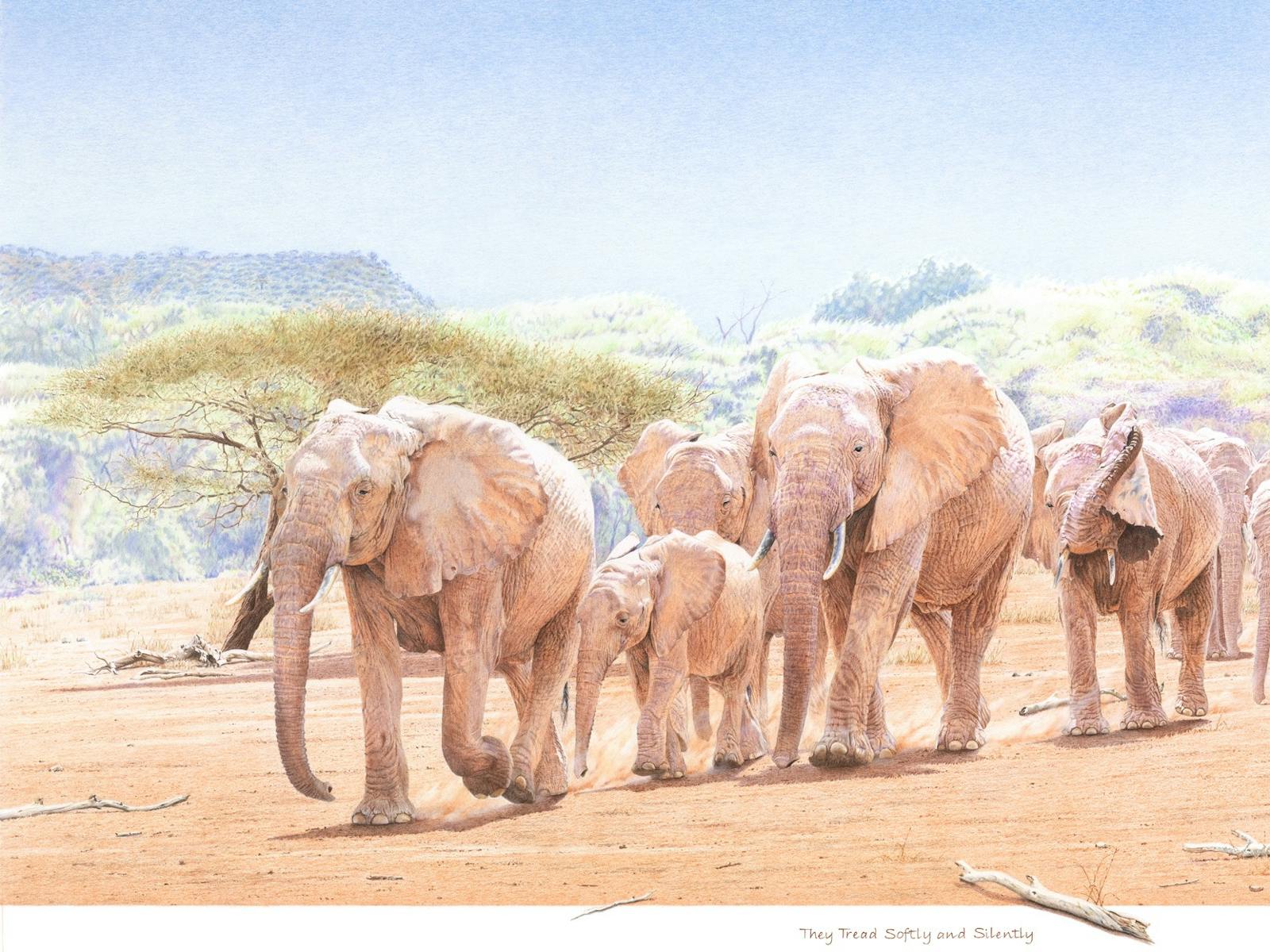 The drawing shows an Elephant herd silently crossing an African plain