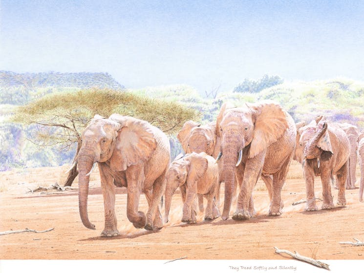 The drawing shows an Elephant herd silently crossing an African plain