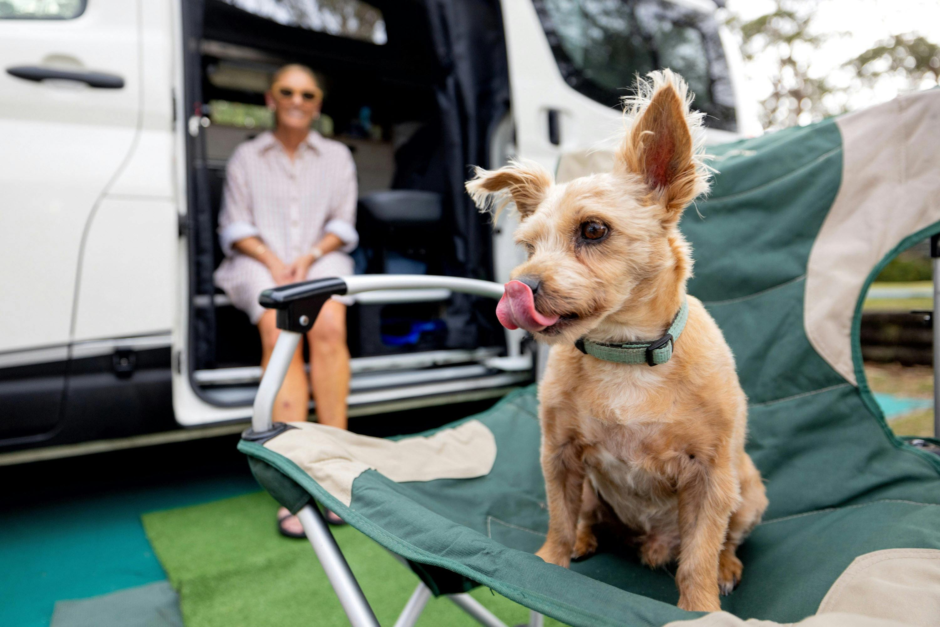 You bring your friendly dog to stay on a Caravan or Camping Site at South Durras Holiday Park