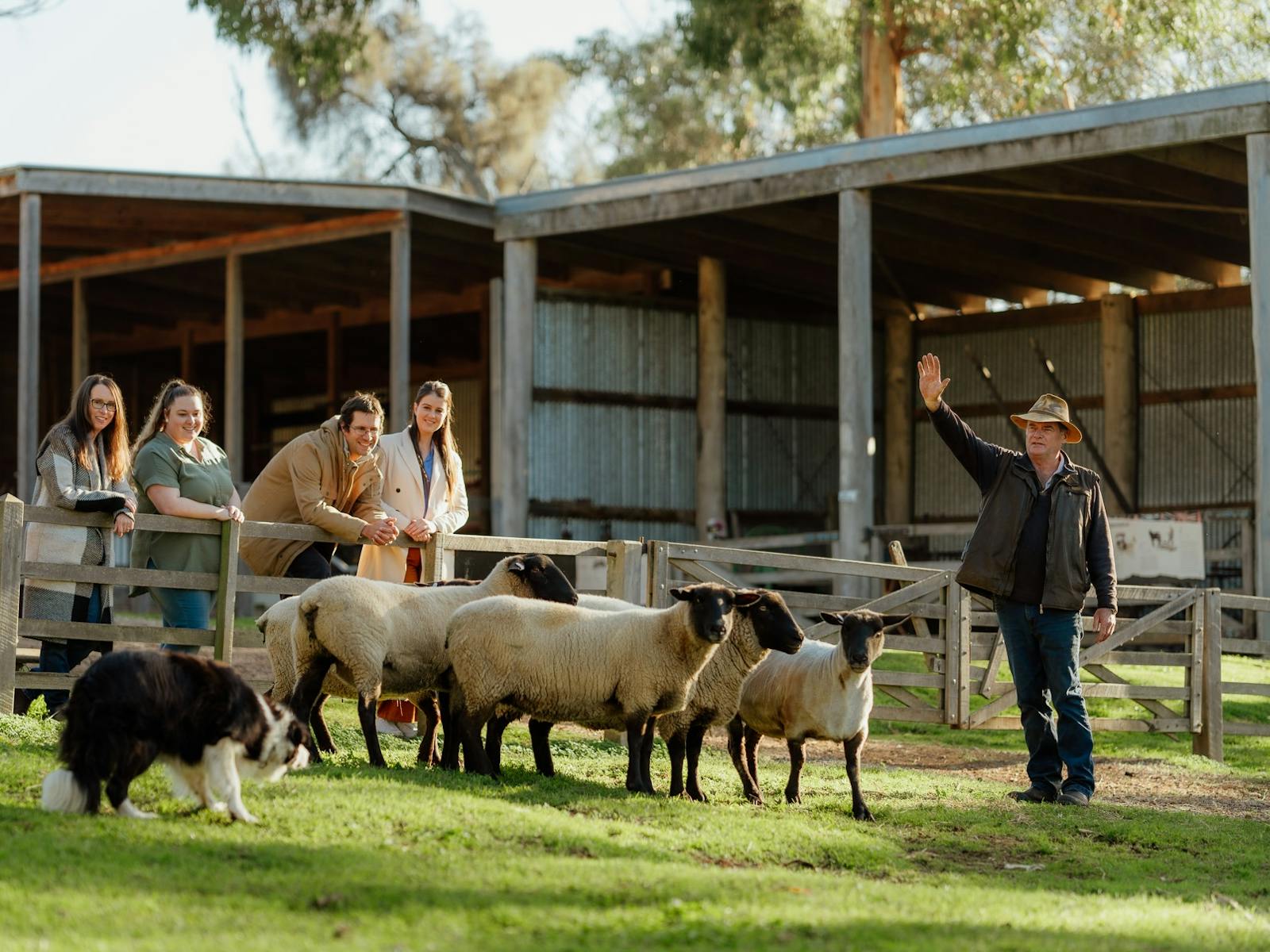 Churchill Island activities