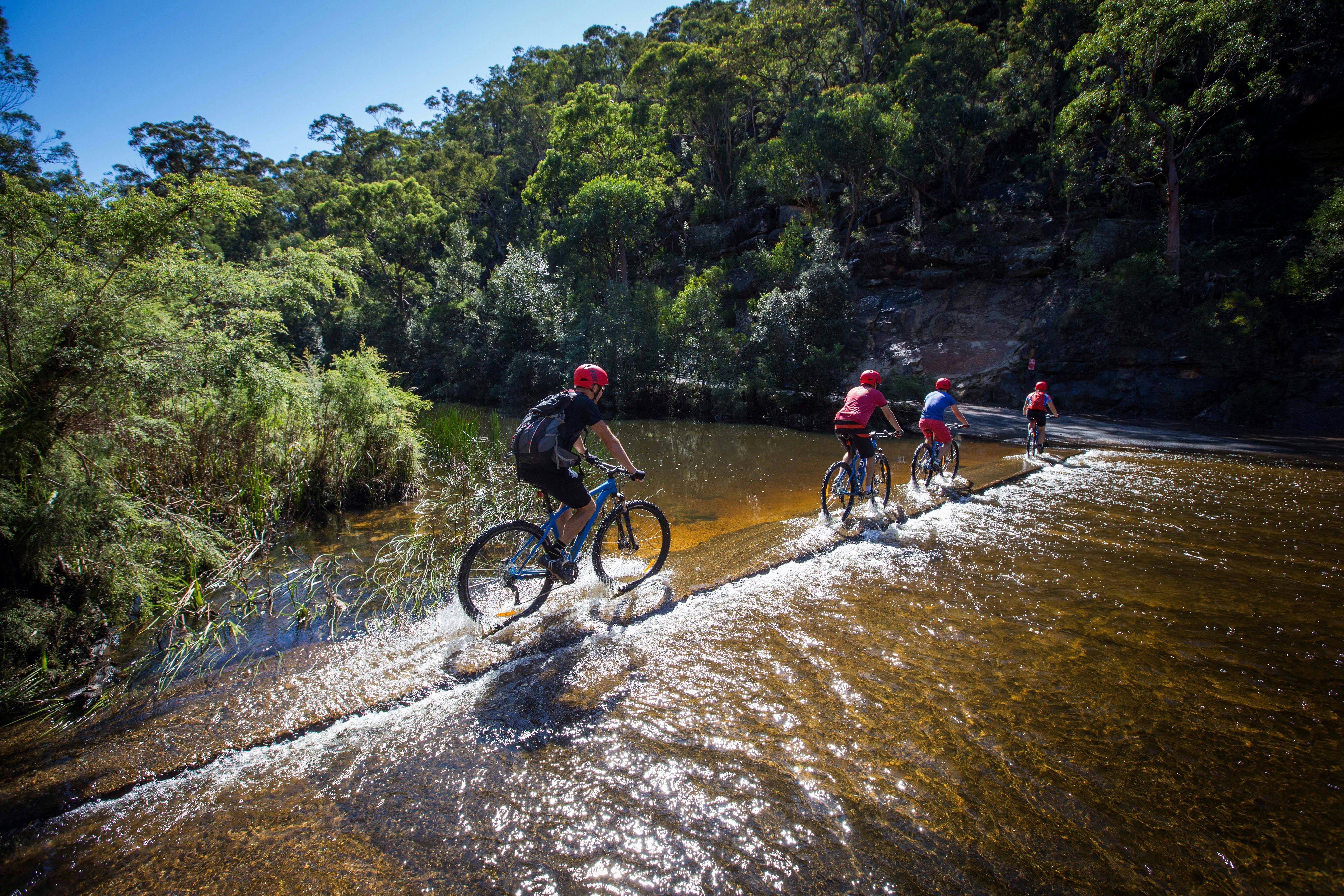 Blue Mountains Biking Adventures - Hire and Tours