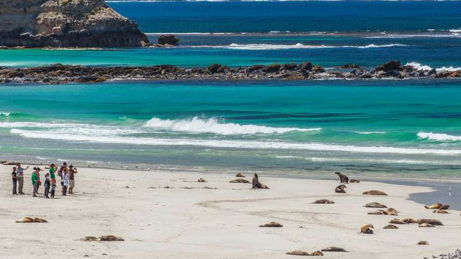 Seal Bay