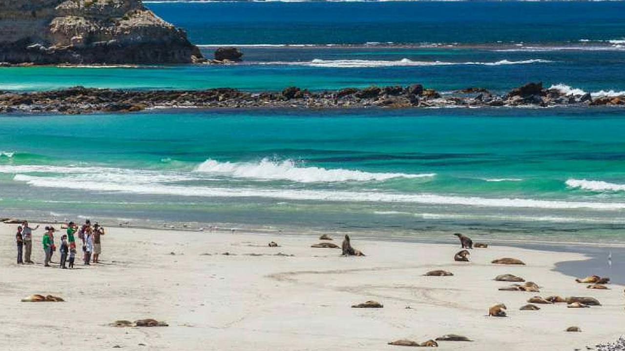 Guided Beach Tour