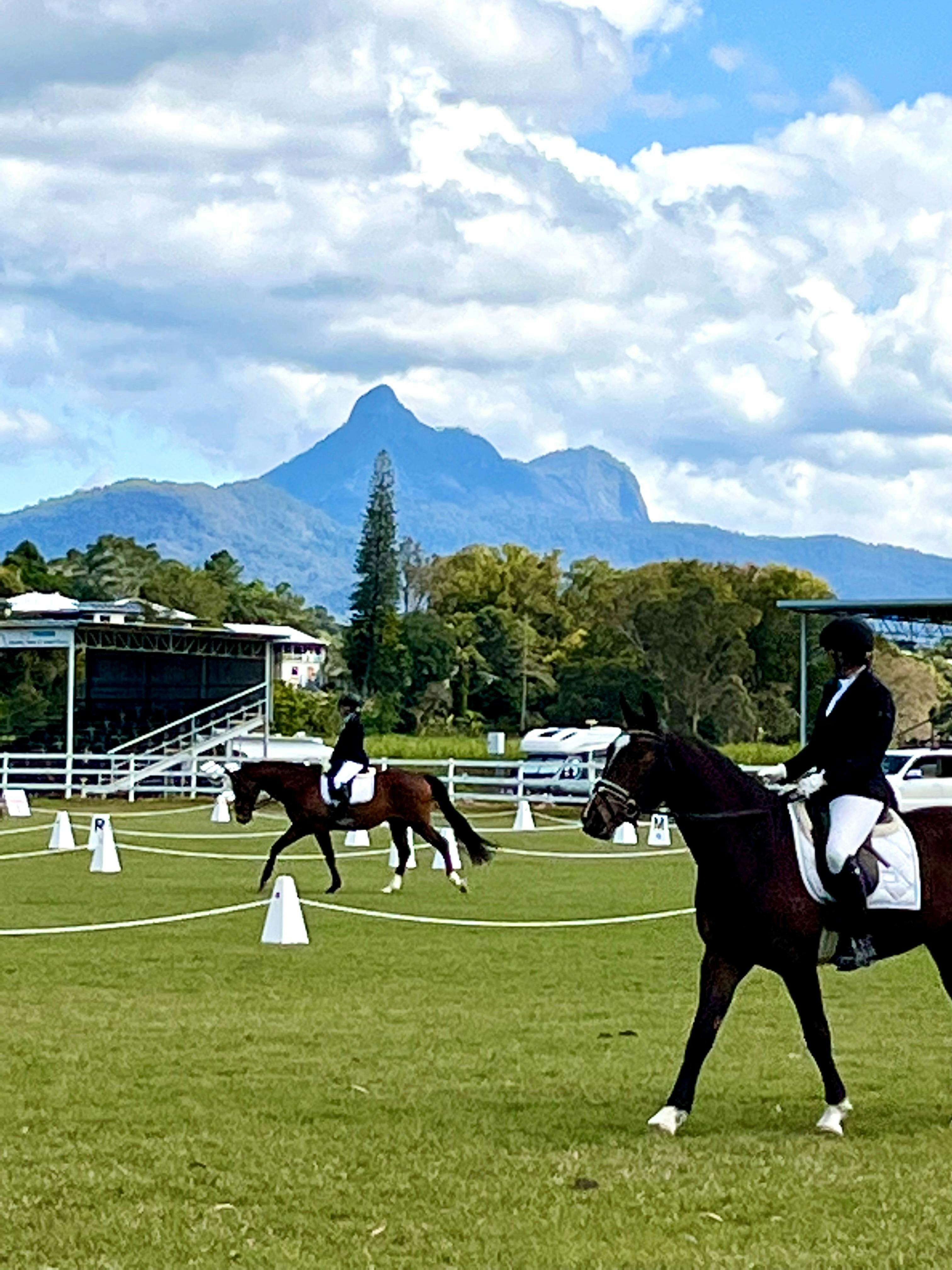 Murwillumbah Showground Car Boot & Fashion Flea Market