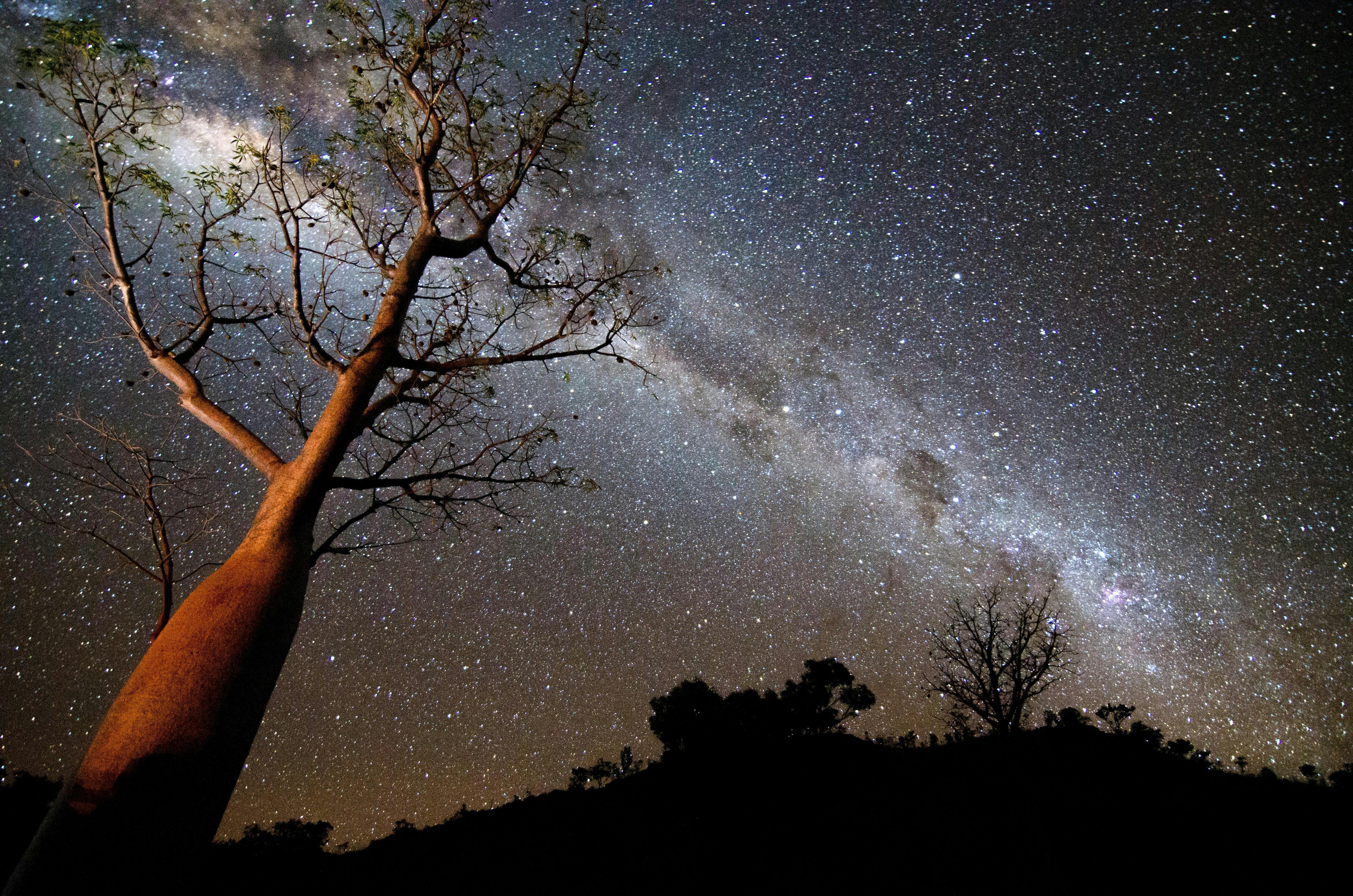 Starry Starry Night!