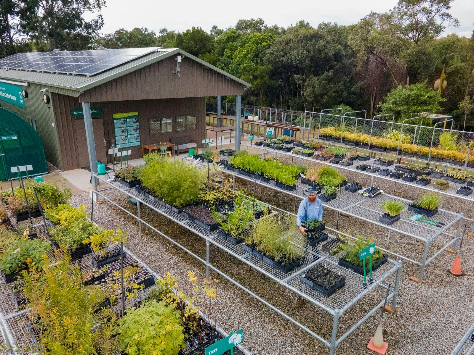 IndigiScapes Native Nursery