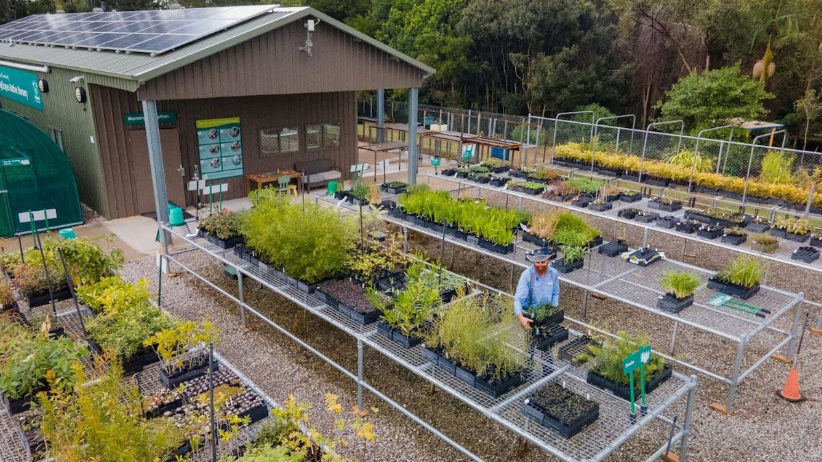 IndigiScapes Native Nursery