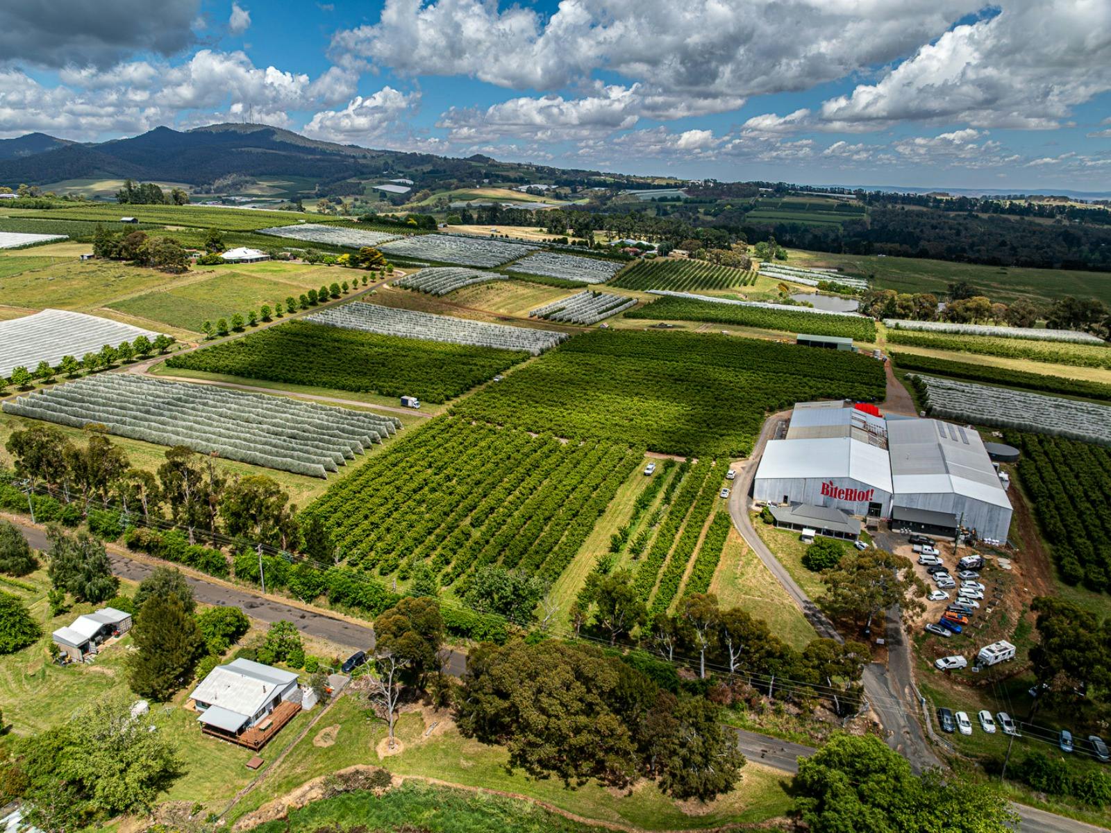 Bite Riot long picnic at Canobolas Dance Hall