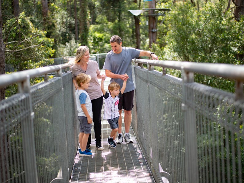 Image of the event 'Kids Go Free These July School Holidays - Illawarra Fly'