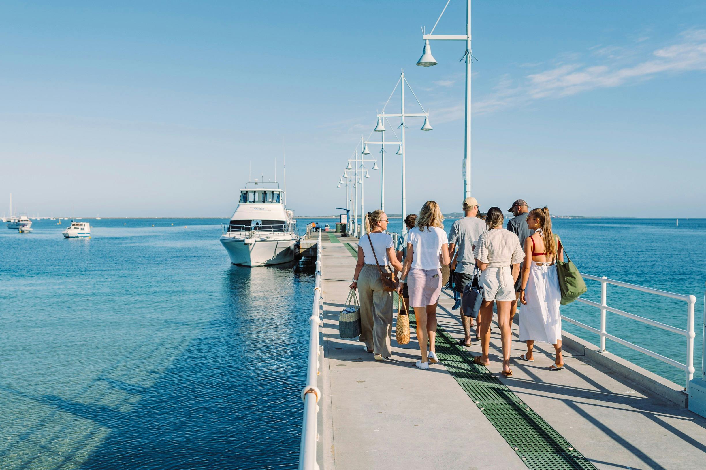 Swimming with Wild Dolphins with Perth Wildlife Encounters, Rockingham