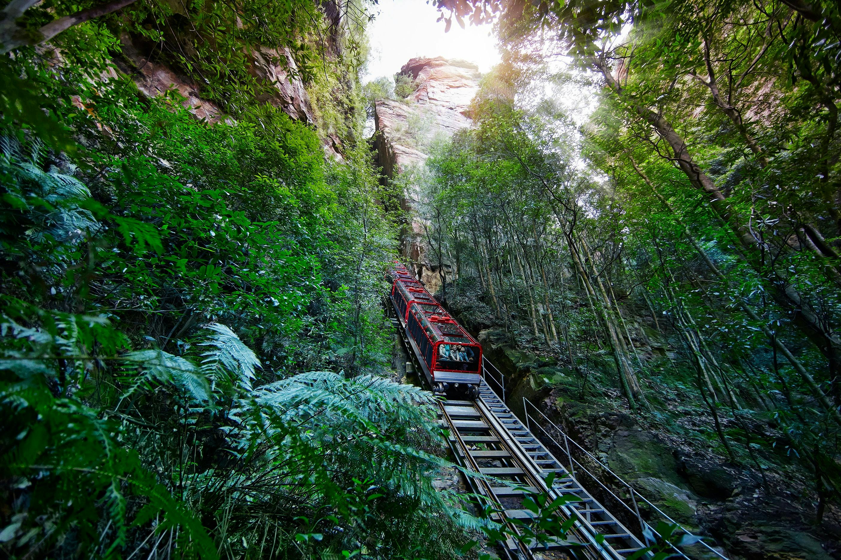 Blue Mountains Adventure - Featherdale Wildlife & Scenic World
