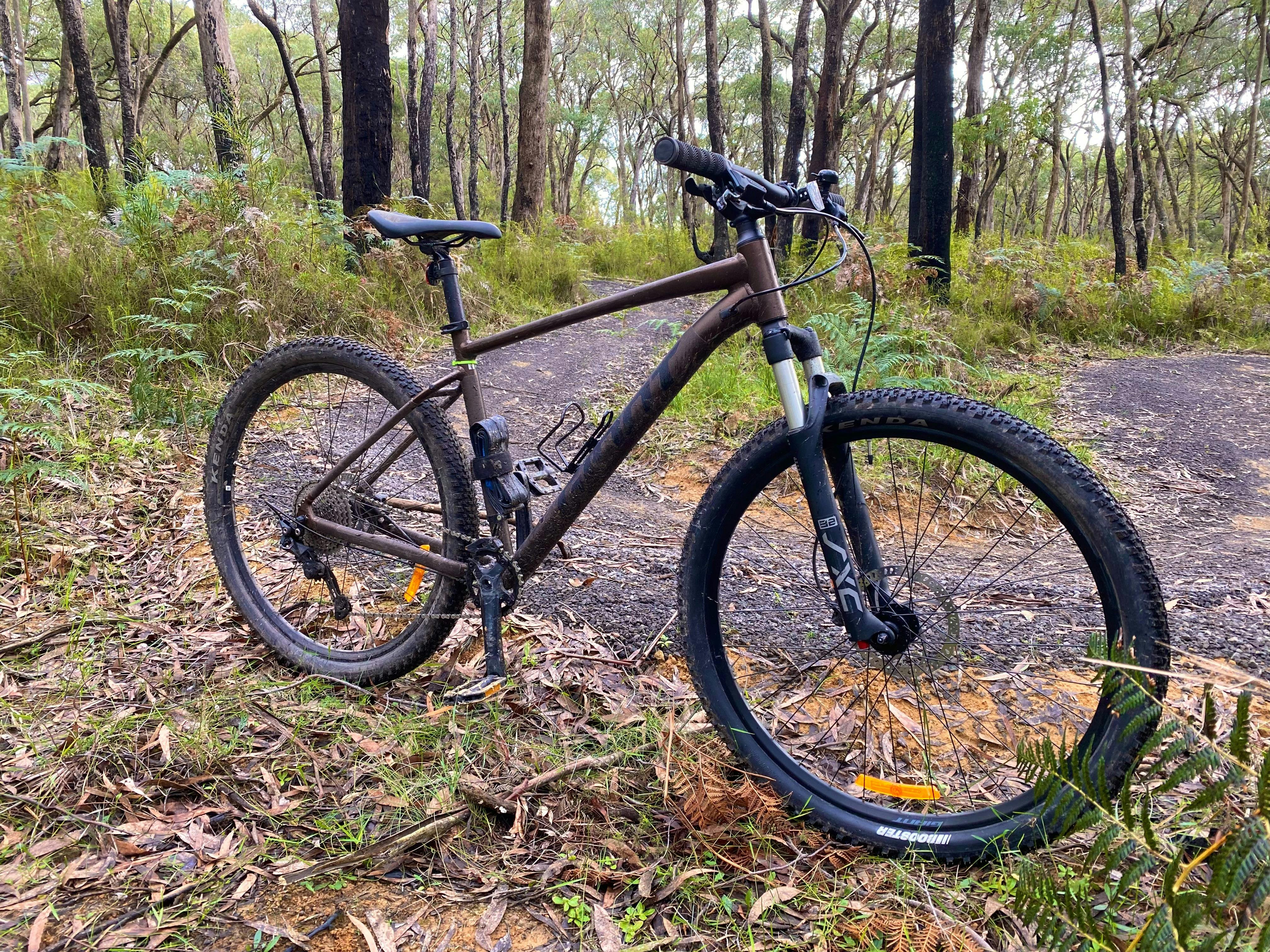 Forrest MTB Hire