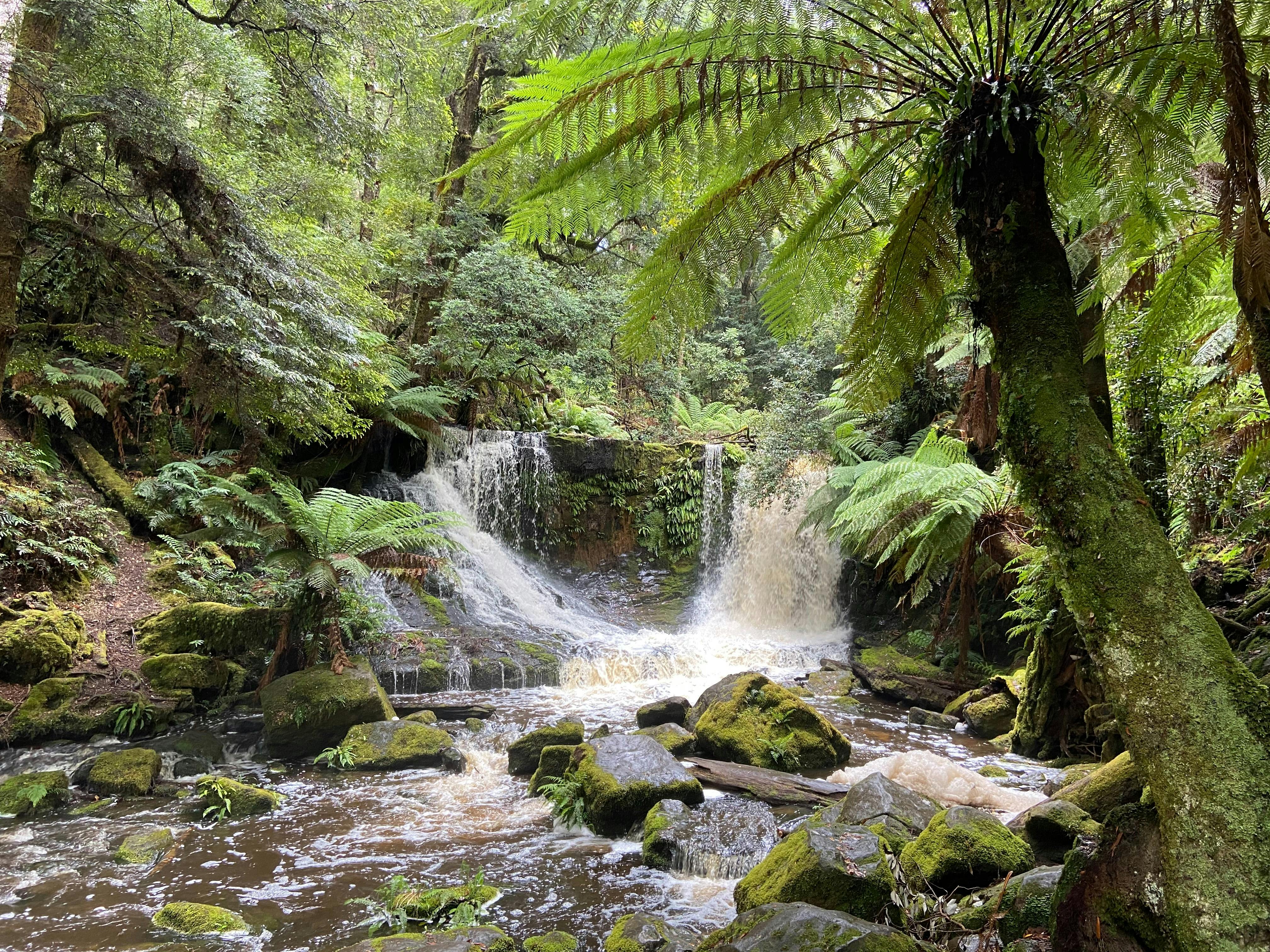 Russell Falls