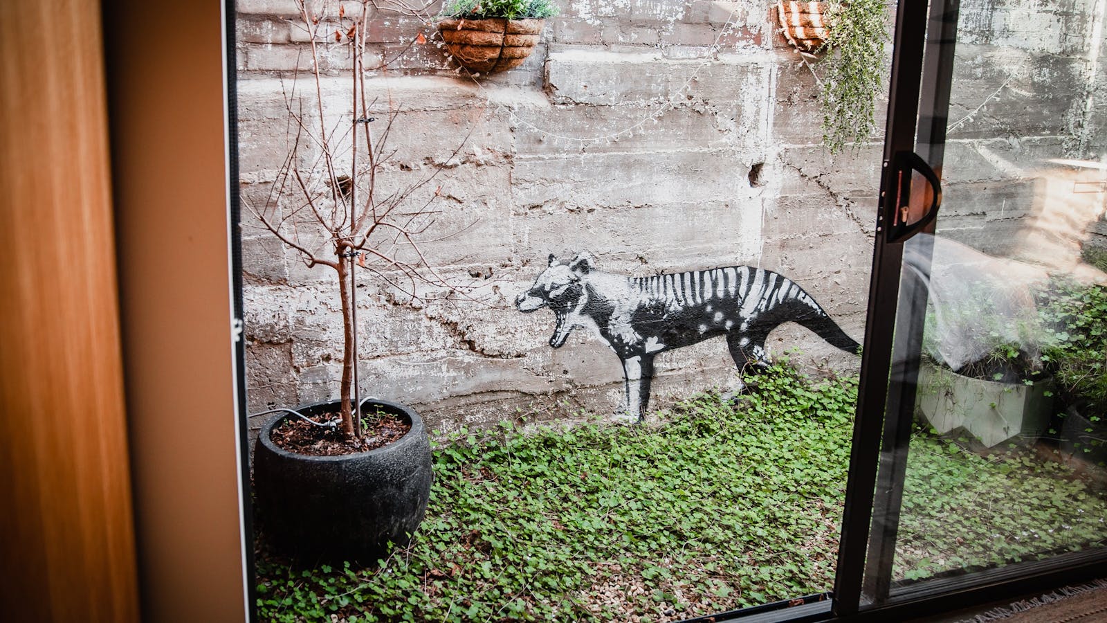 The courtyard off the bedroom