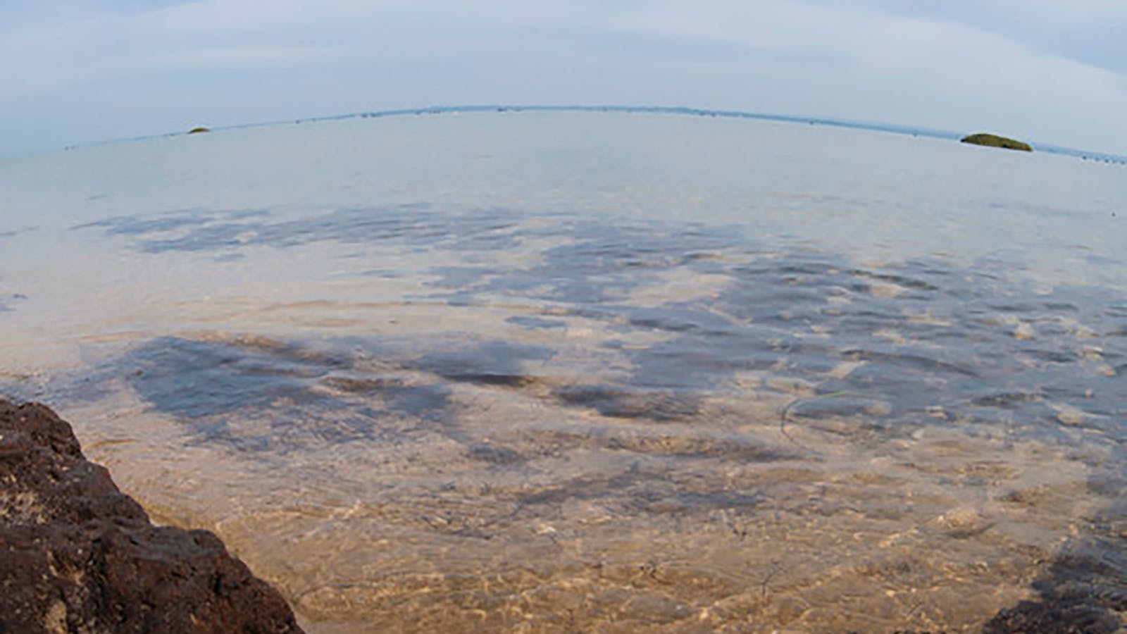 French Island Marine National Park