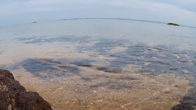 French Island Marine National Park