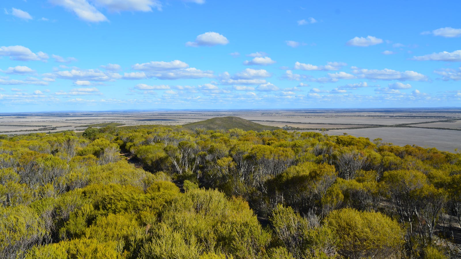 Federation Hill Lookout