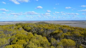 Federation Hill Lookout