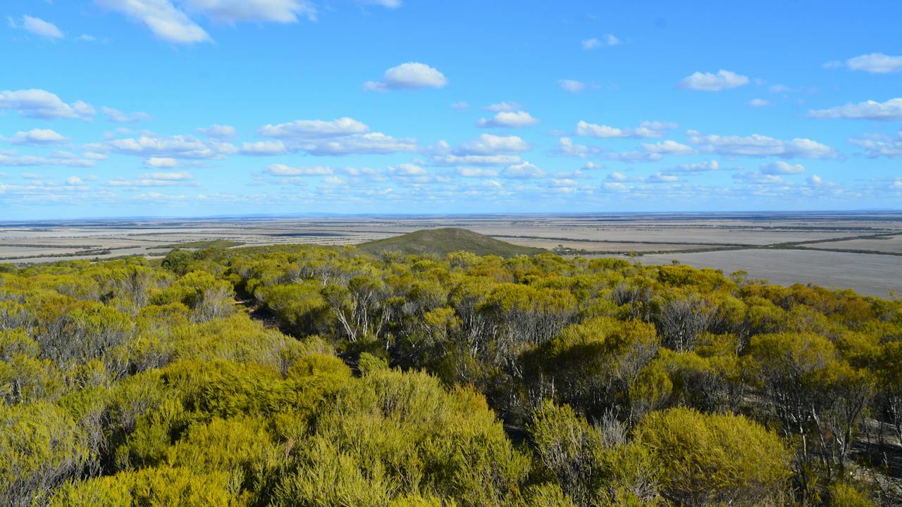 Views at the Lookout