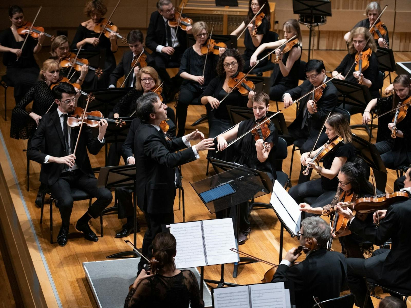 Image for Sydney Symphony Orchestra - Mozart and Bruch