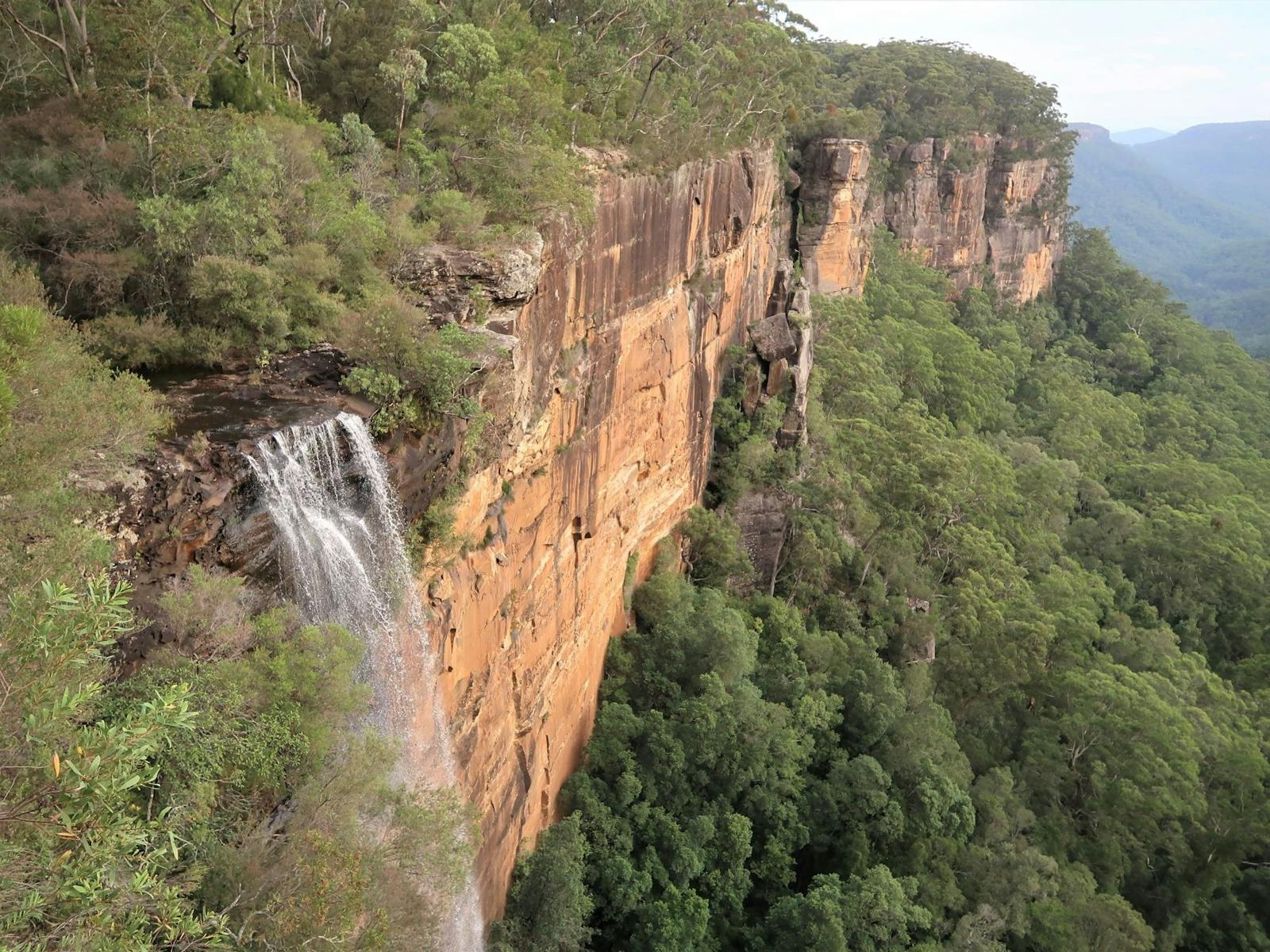 Walking with Wombats Tour Perfect Day Sydney Budderoo National Park