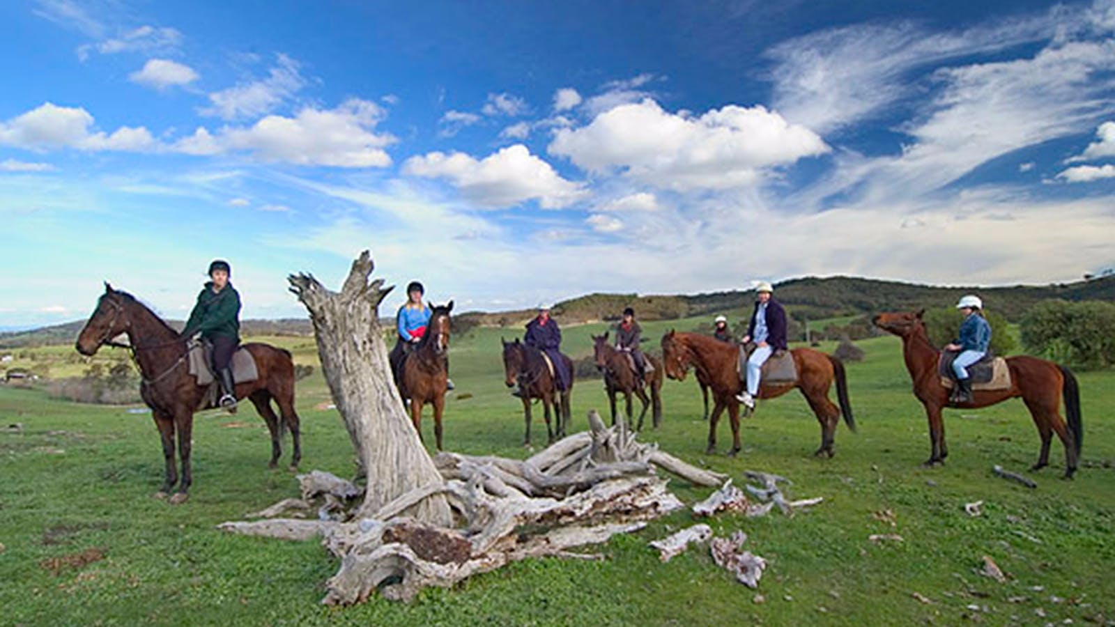Uncle Nev's Trail Rides