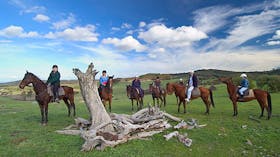 Uncle Nev's Trail Rides