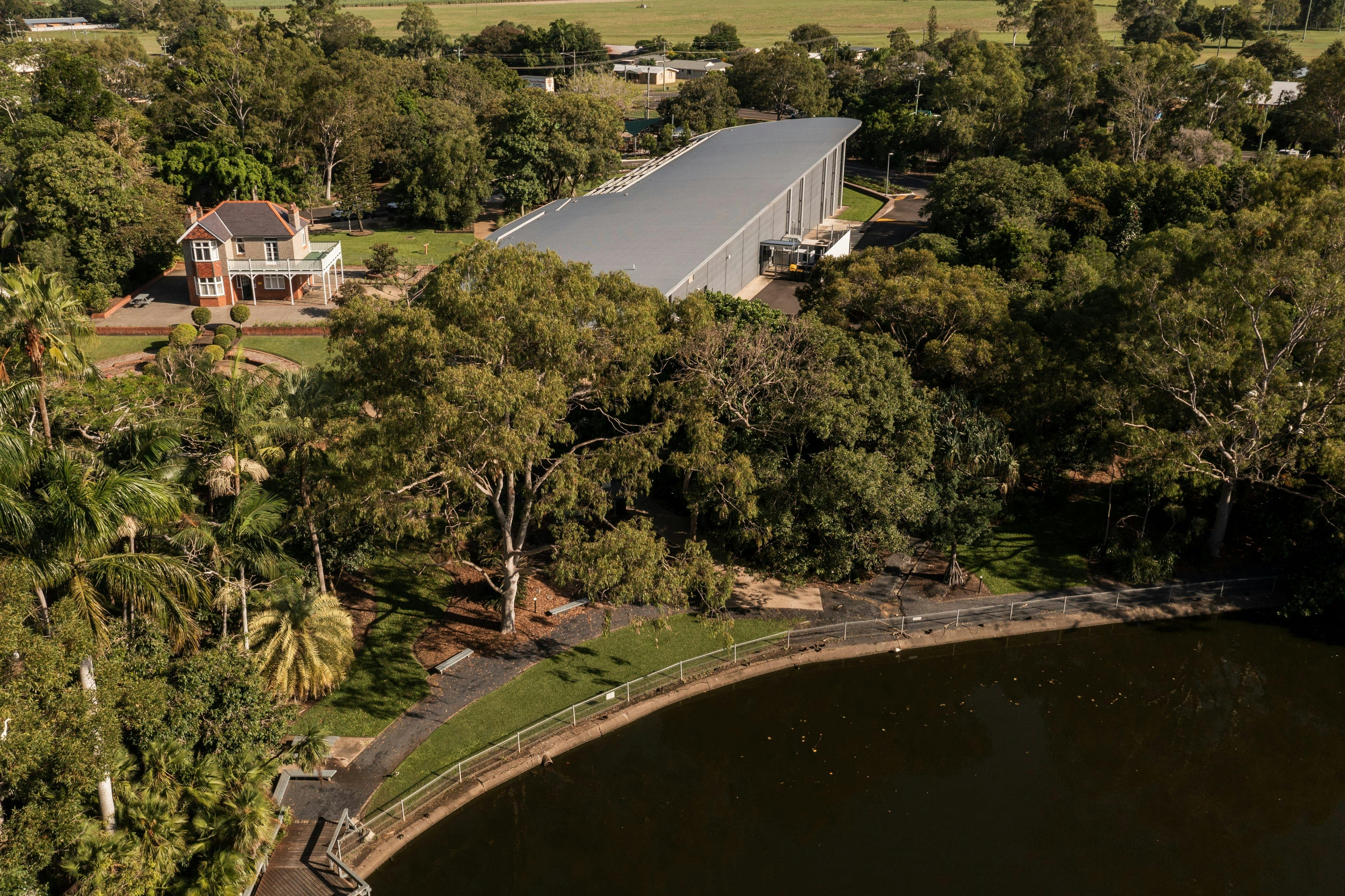 Turtles Of Mon Repos